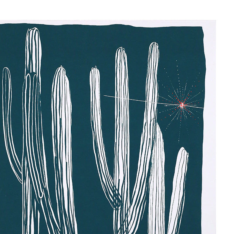 Cactus Sketch by Andy Brown