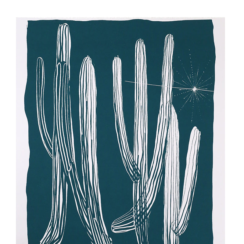 Cactus Sketch by Andy Brown