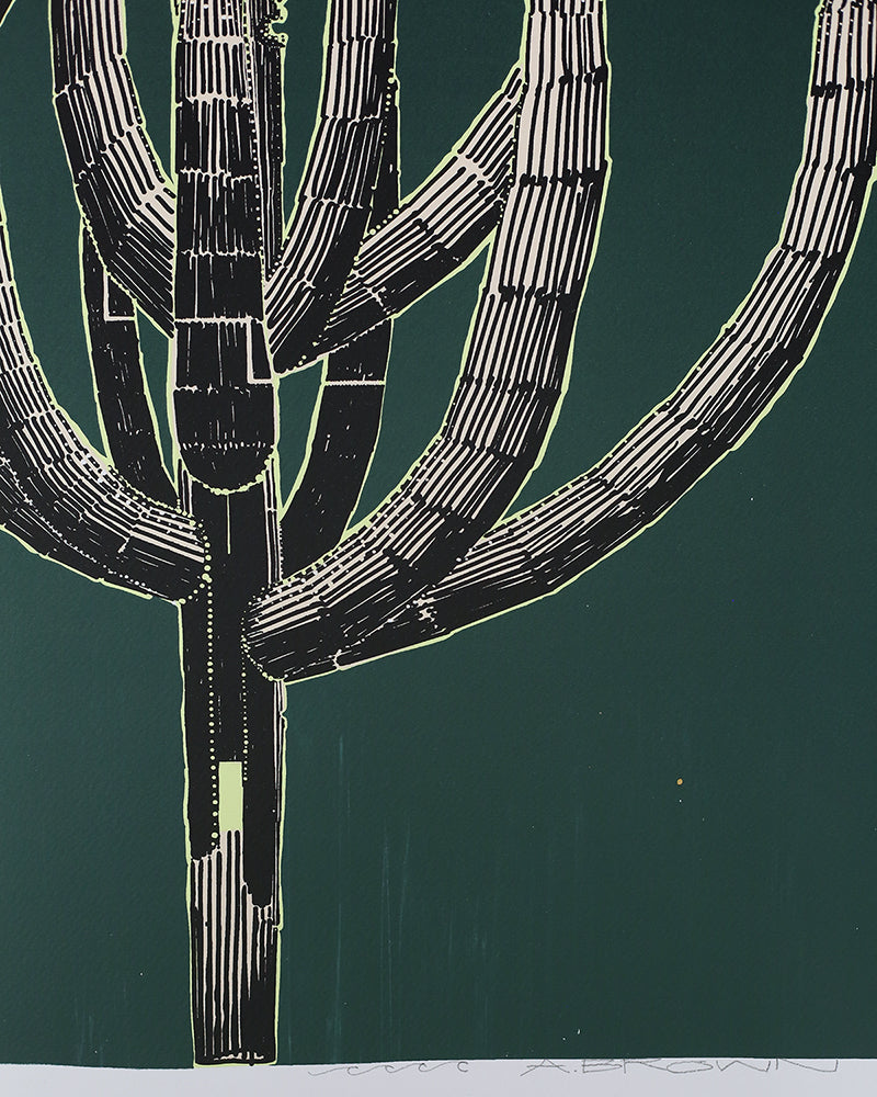 Saguaro Sketch by Andy Brown