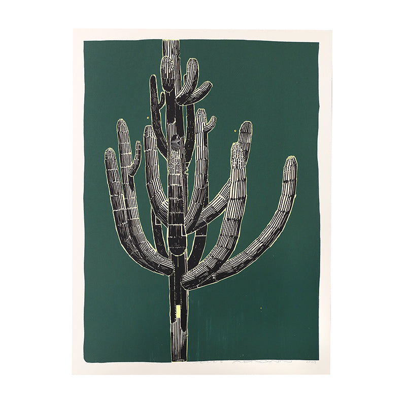 Saguaro Sketch by Andy Brown