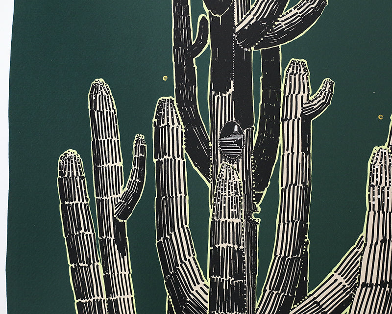 Saguaro Sketch by Andy Brown