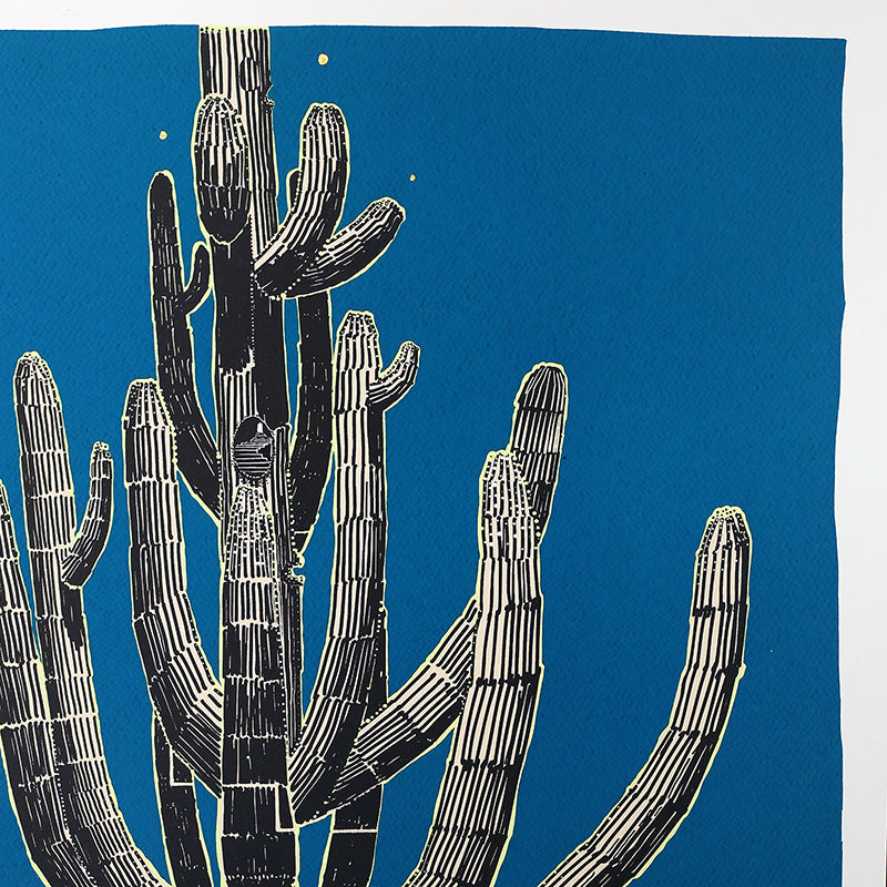 Saguaro Sketch by Andy Brown