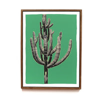 Framed Saguaro Sketch by Andy Brow