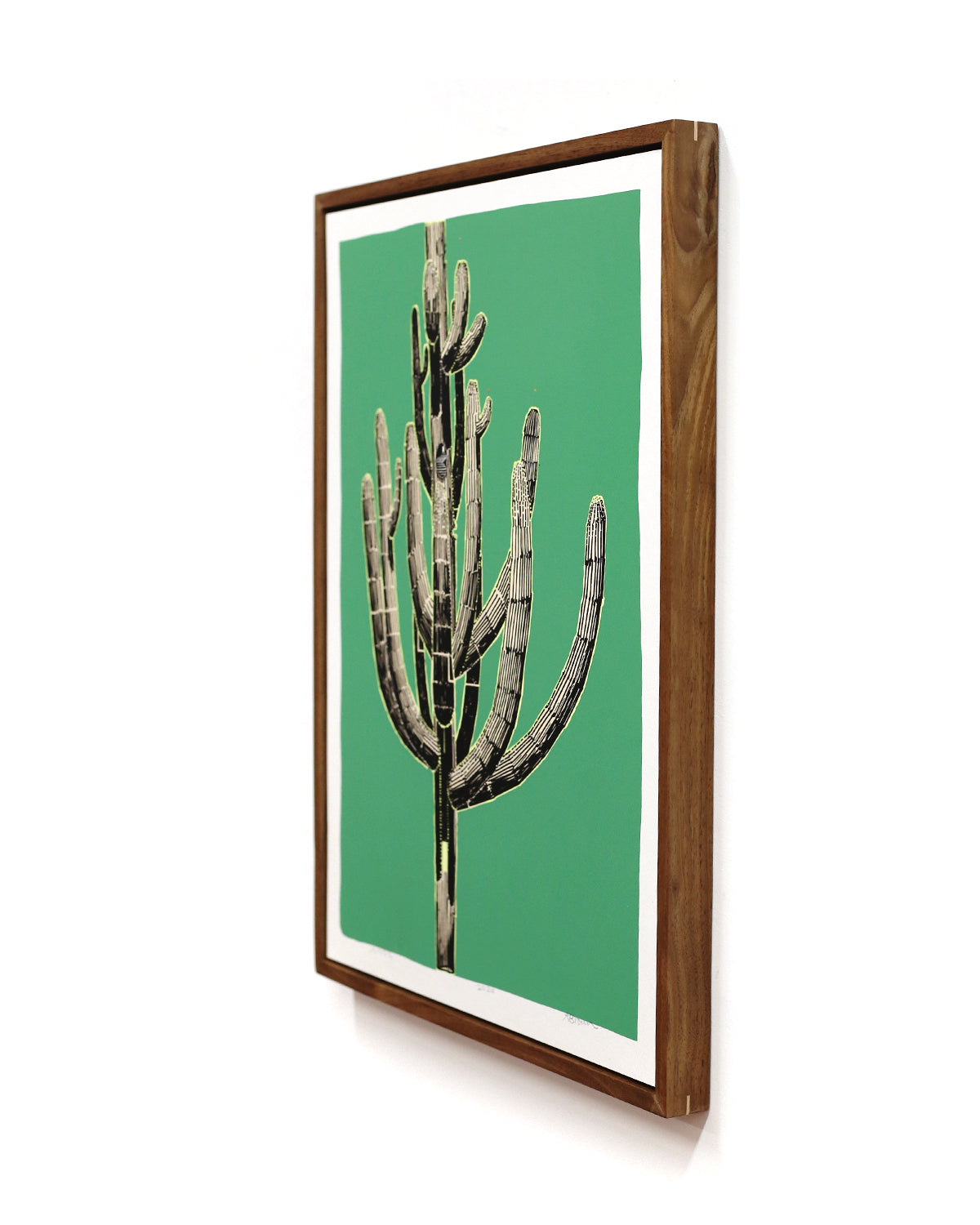 Framed Saguaro Sketch by Andy Brow