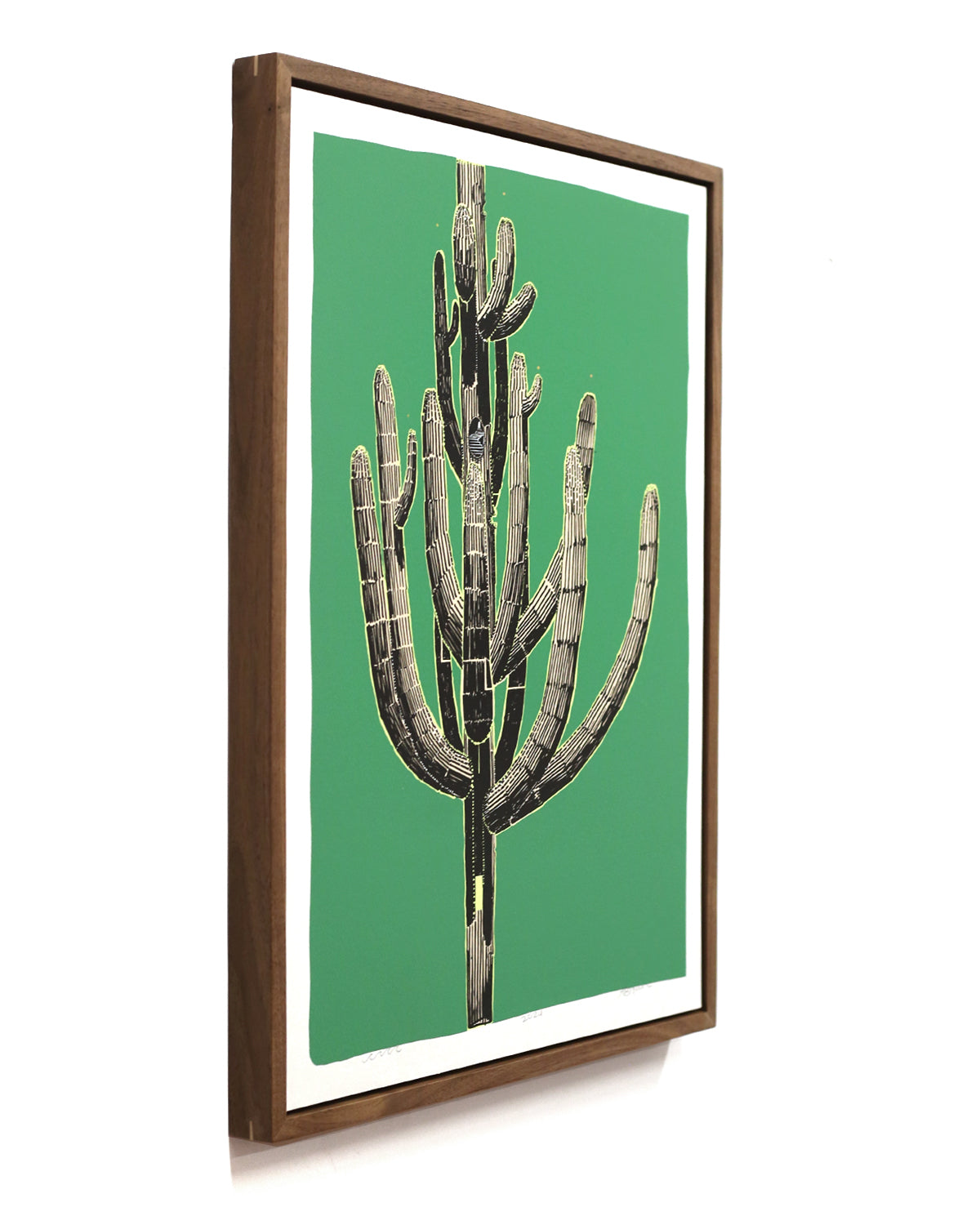 Framed Saguaro Sketch by Andy Brow