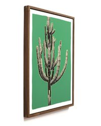 Framed Saguaro Sketch by Andy Brow