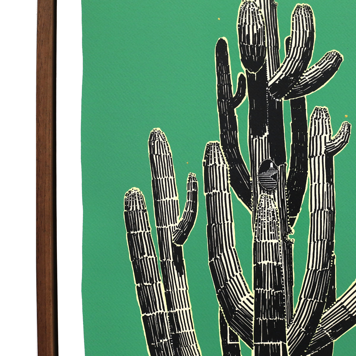 Framed Saguaro Sketch by Andy Brow