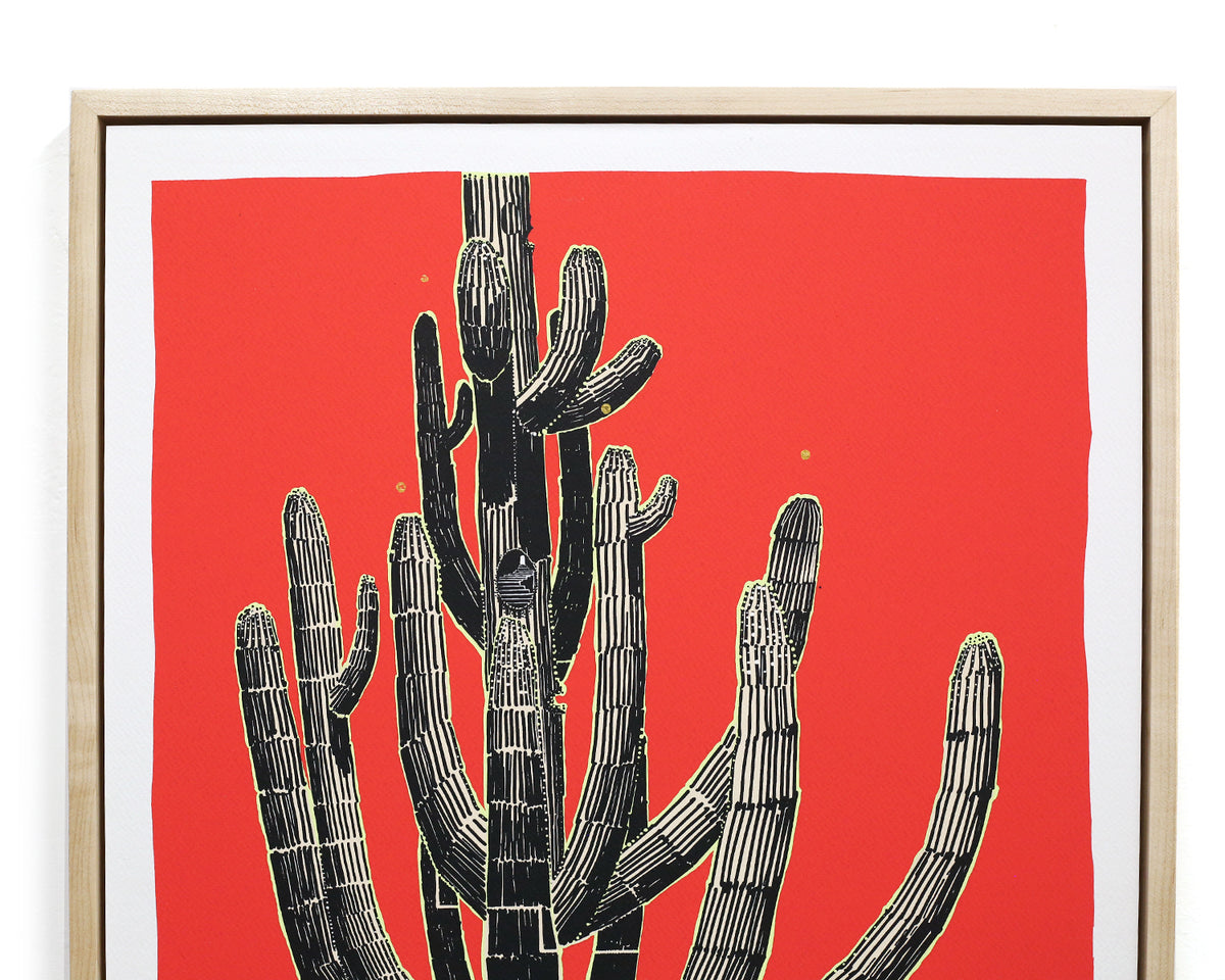 Framed Saguaro Sketch by Andy Brow