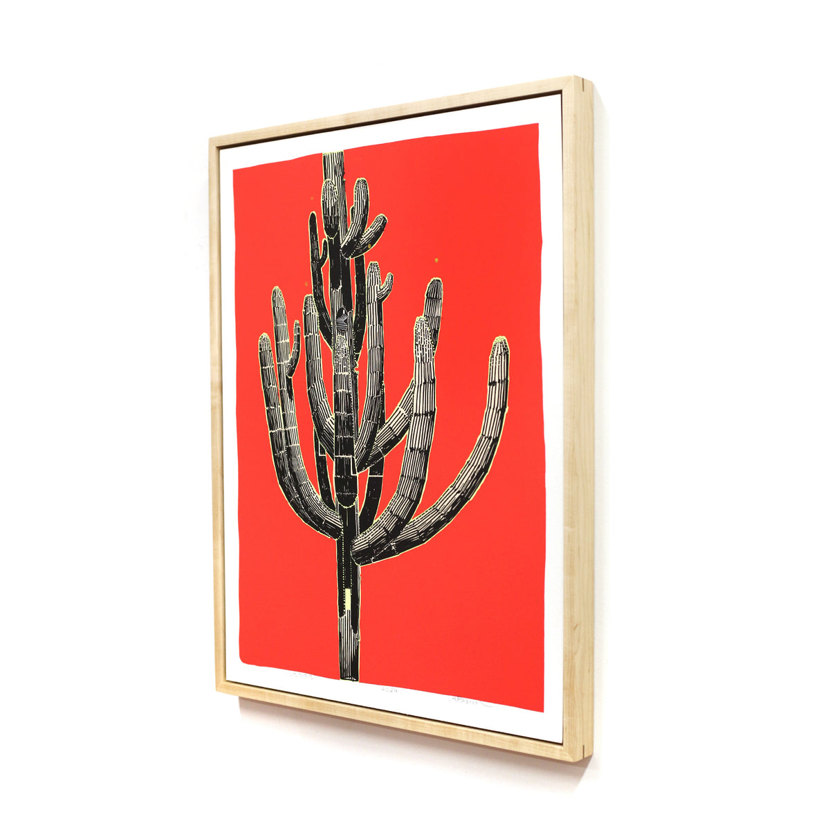 Framed Saguaro Sketch by Andy Brow