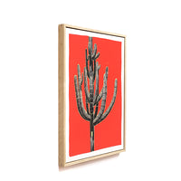 Framed Saguaro Sketch by Andy Brow