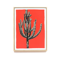 Framed Saguaro Sketch by Andy Brow