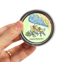 Chaparral Healing Salve