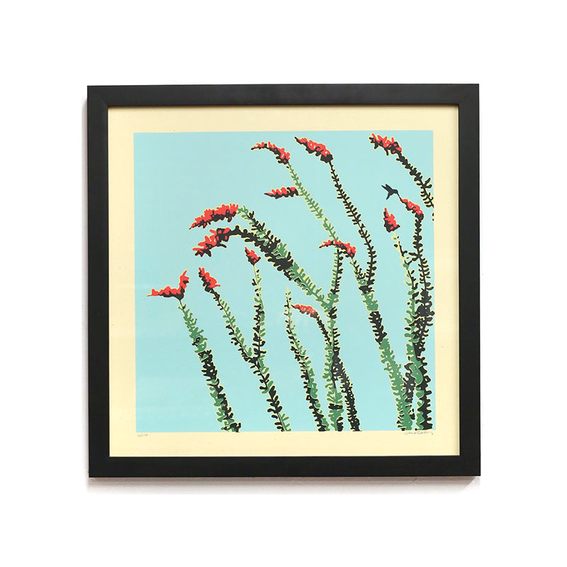 Ocotillo II by Jake Early