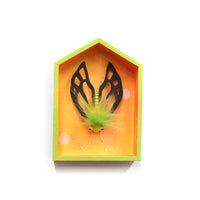 Bug in an Orange House by Jennifer Gross