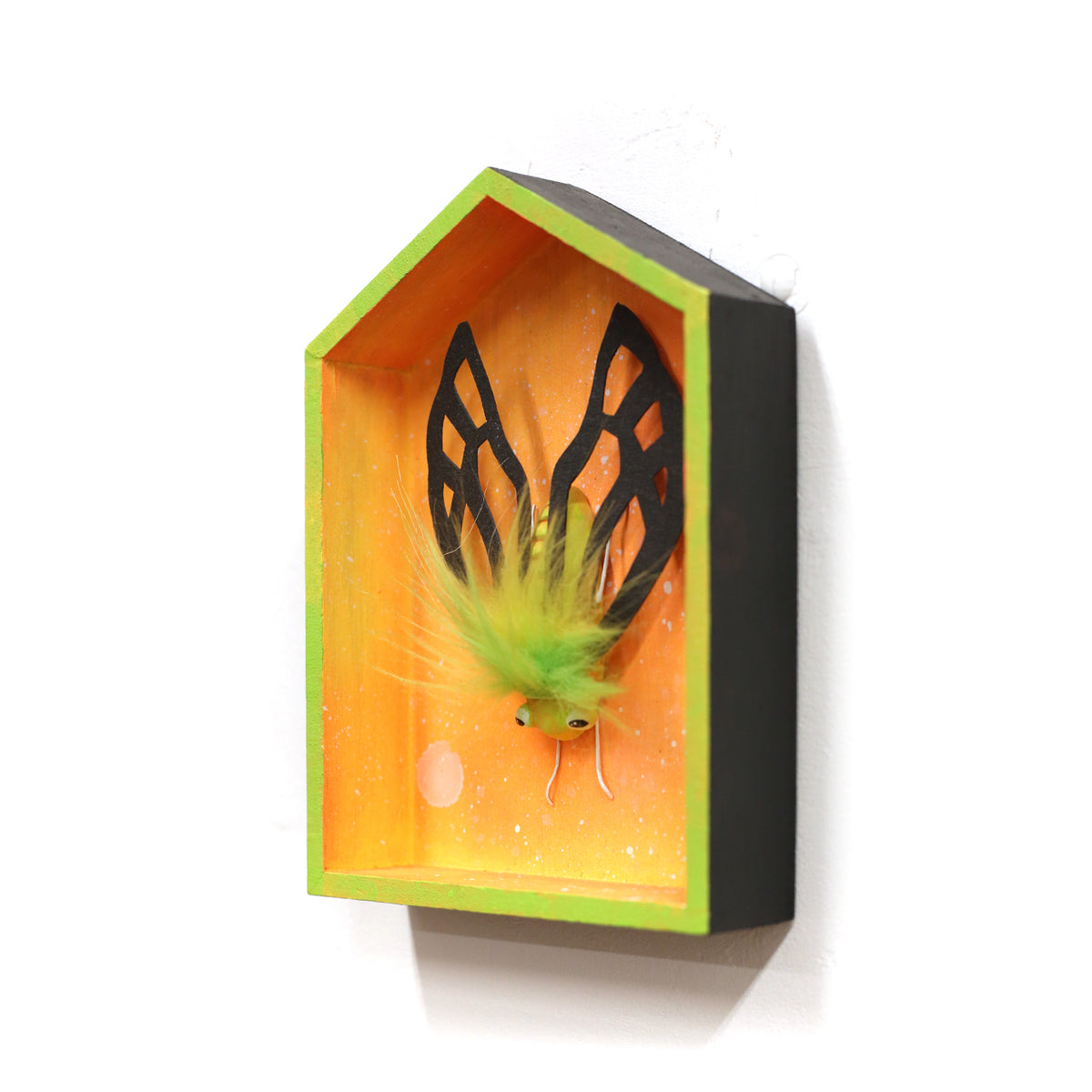 Bug in an Orange House by Jennifer Gross