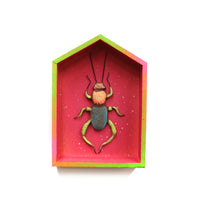 Bug in Magenta House by Jennifer Gross