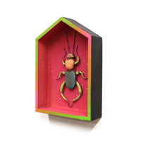 Bug in Magenta House by Jennifer Gross