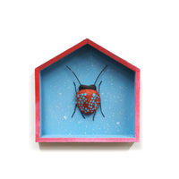 Lady Bug in Blue House by Jennifer Gross