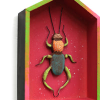 Bug in Magenta House by Jennifer Gross