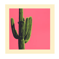 Saguaro by Jake Early