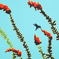 Ocotillo II by Jake Early