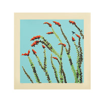 Ocotillo II by Jake Early