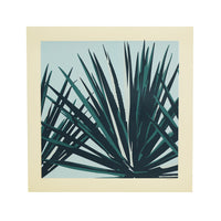 Blue Agave by Jake Early