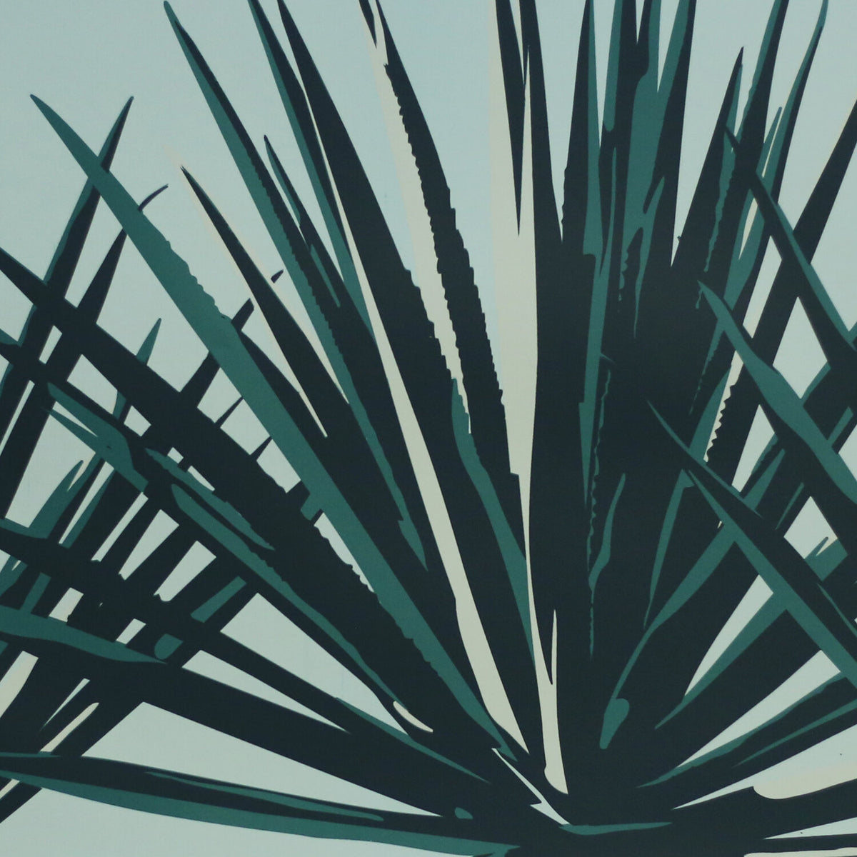 Blue Agave by Jake Early