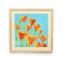 California Poppies (Unframed) by Jake Early