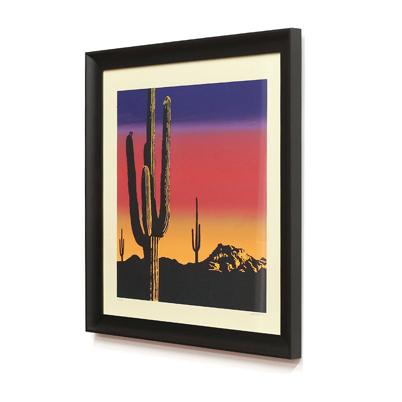 Sonoran Sunset by Jake Early