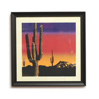 Sonoran Sunset by Jake Early