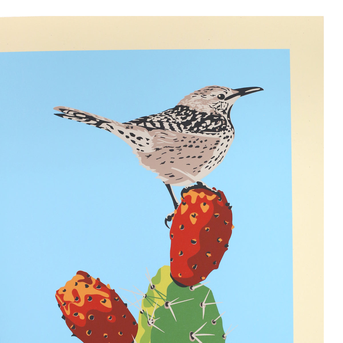 Cactus Wren by Jake Early