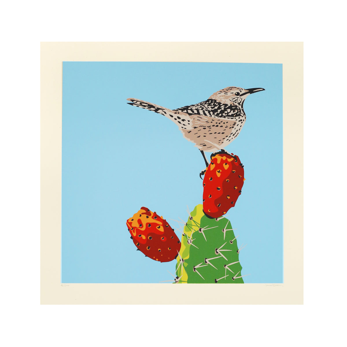 Cactus Wren by Jake Early