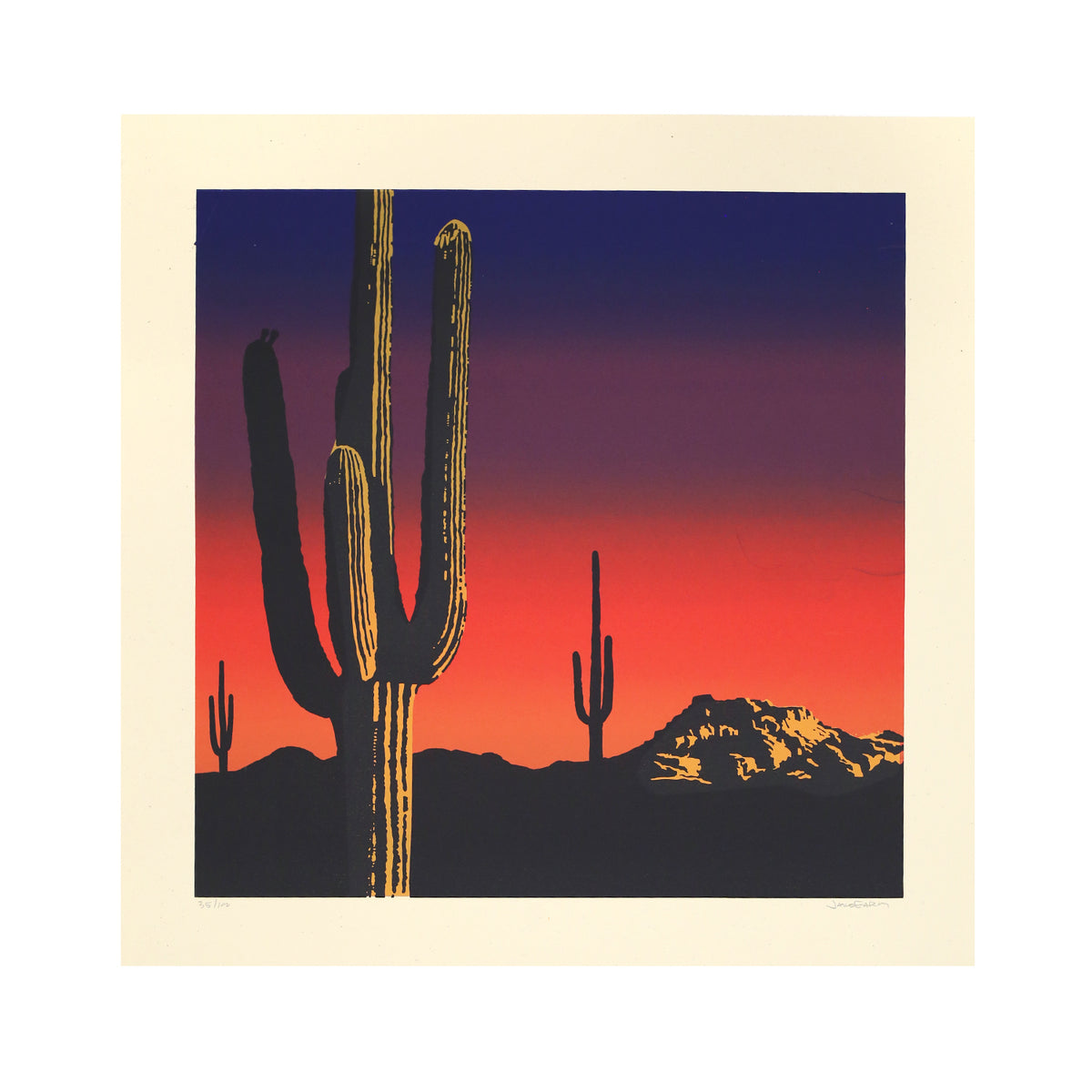 Sonoran Sunset by Jake Early