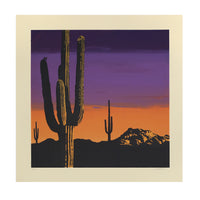 Sonoran Sunset by Jake Early