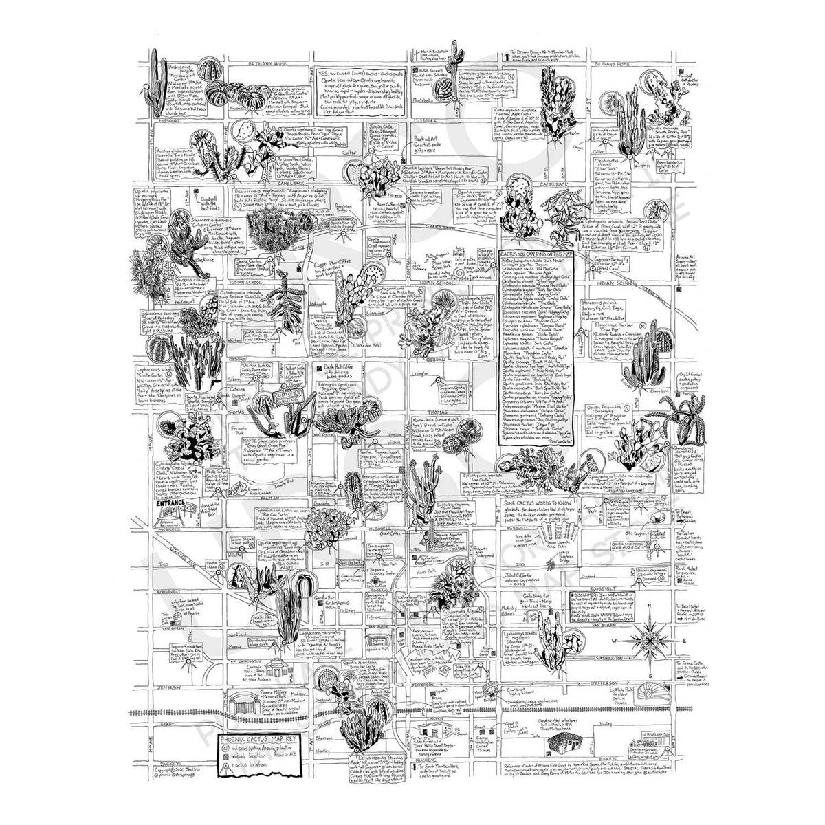 Phoenix Cactus Map by Jen Urso