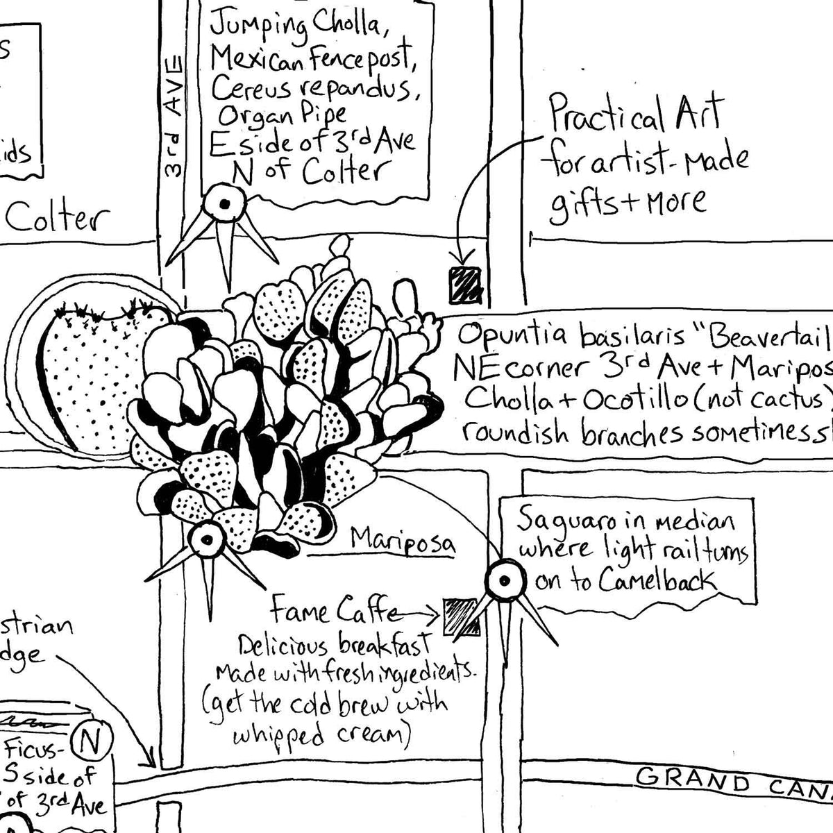 Phoenix Cactus Map by Jen Urso