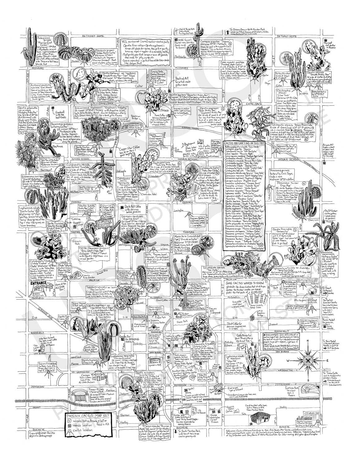 Phoenix Cactus Map by Jen Urso