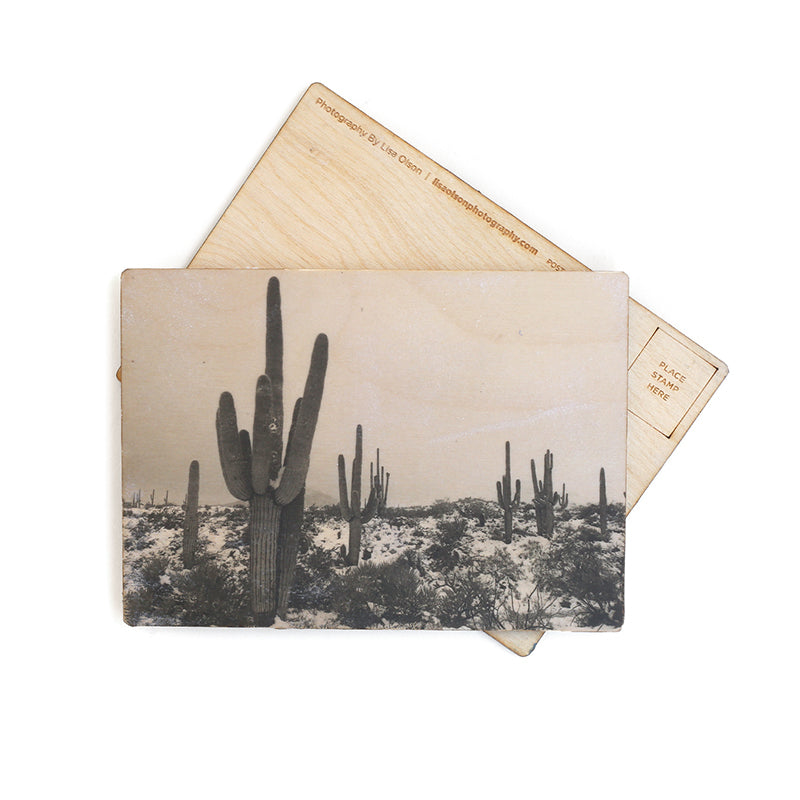 Snowy Desert postcard by Lisa Olson