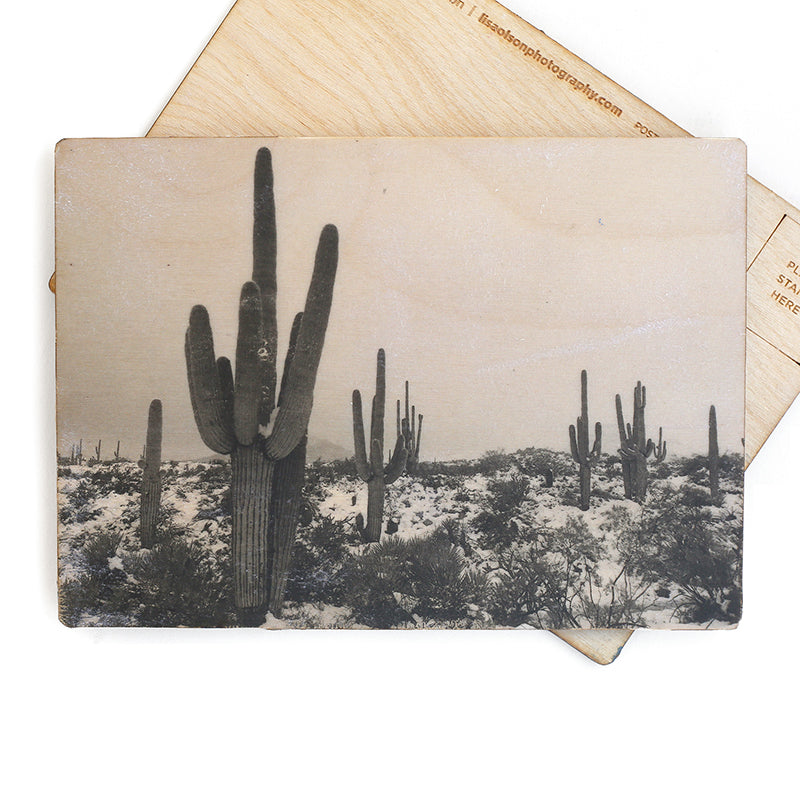 Snowy Desert postcard by Lisa Olson