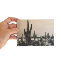 Snowy Desert postcard by Lisa Olson